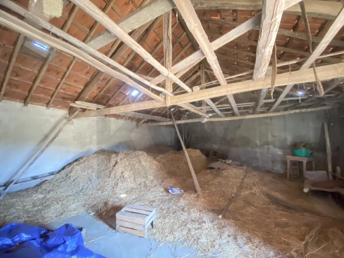 Terreno para Venda em Enxames Foto 13