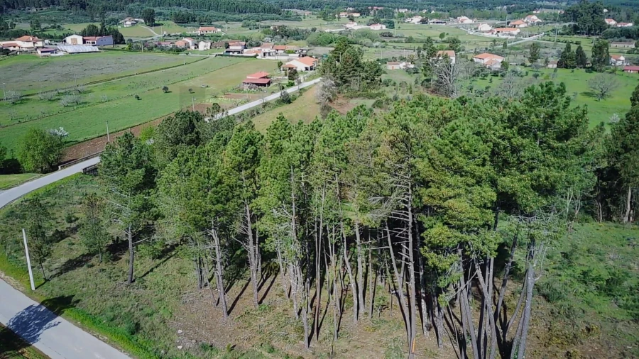 Terreno para Venda em Enxames Foto 20