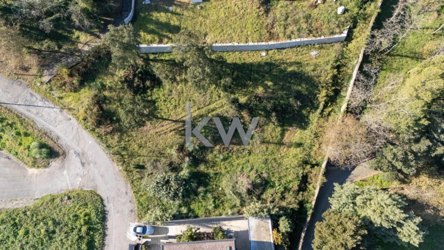 Terreno para Venda em Oliveira do Douro Foto 30