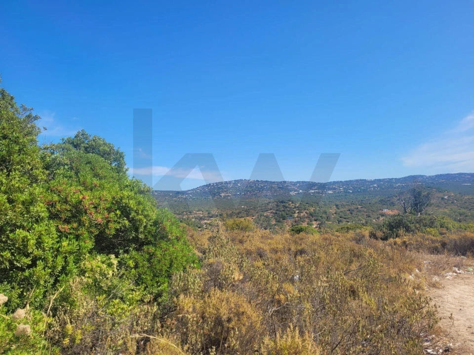Terreno para Venda em Loule (São Sebastião) Foto 5