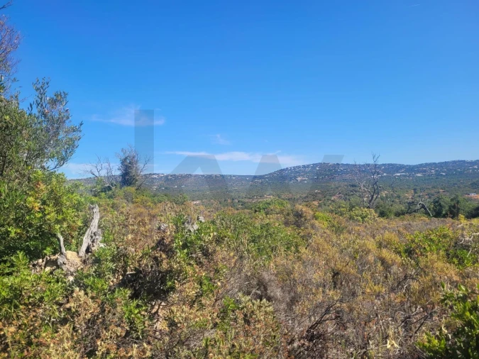 Terreno para Venda em Loule (São Sebastião)