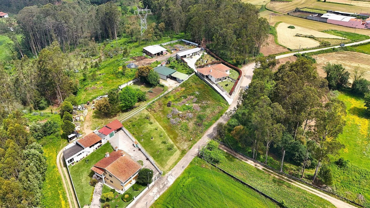 Terreno para Venda em Vila de Cucujães Foto 3
