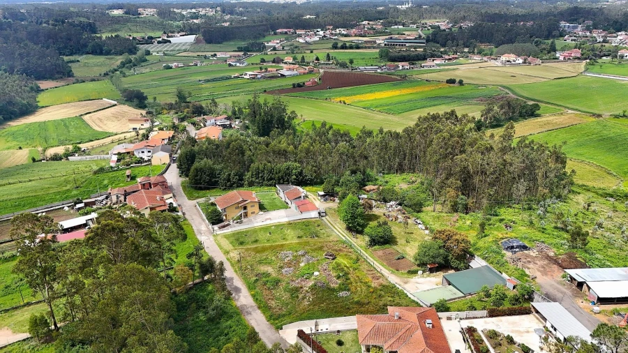 Terreno para Venda em Vila de Cucujães Foto 4