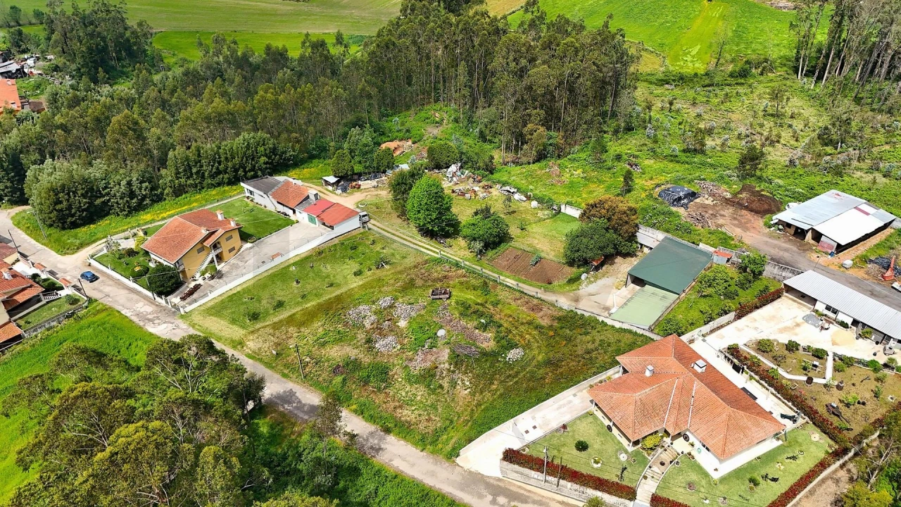 Terreno para Venda em Vila de Cucujães Foto 6