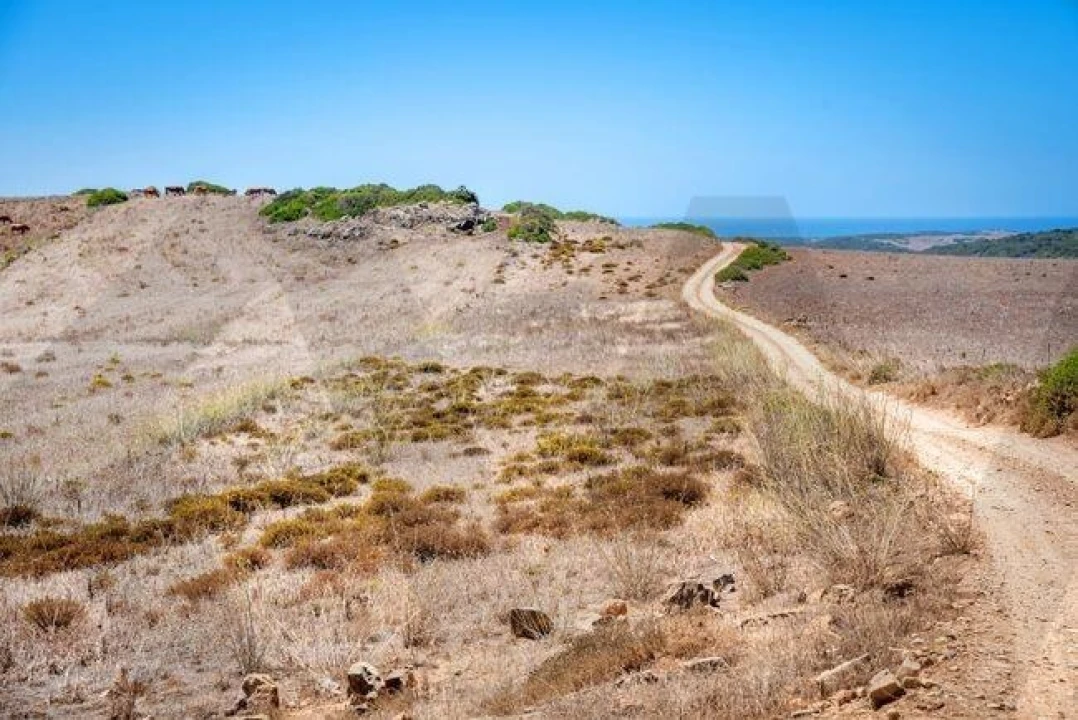 Terreno para Venda em Vila do Bispo e Raposeira Foto 3