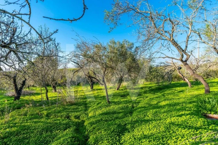 Moradia T3 para Venda em Quelfes Foto 37