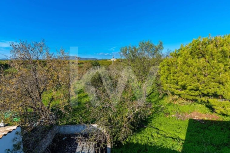 Moradia T3 para Venda em Quelfes Foto 7