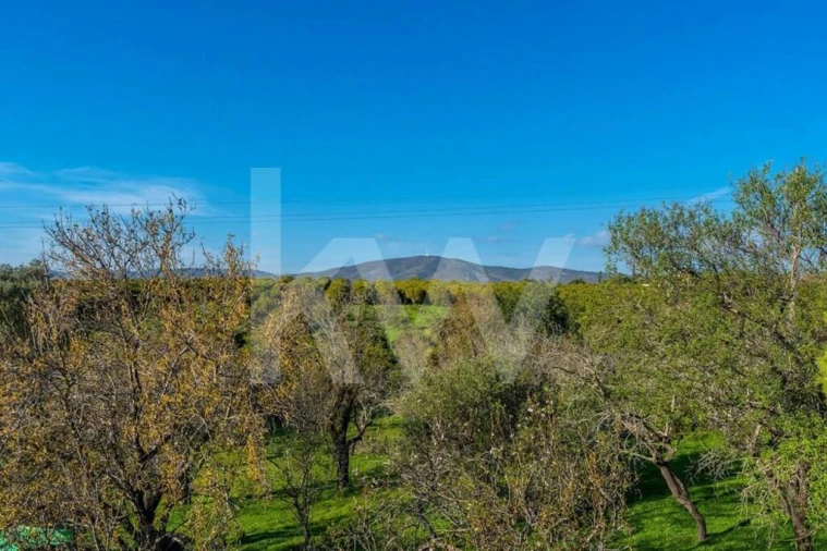 Moradia T3 para Venda em Quelfes Foto 21