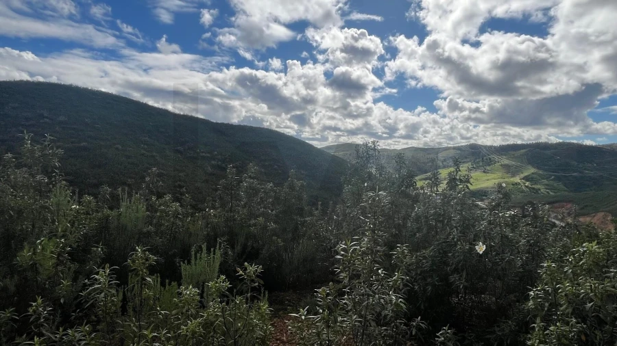 Terreno para Venda em Portimão Foto 22
