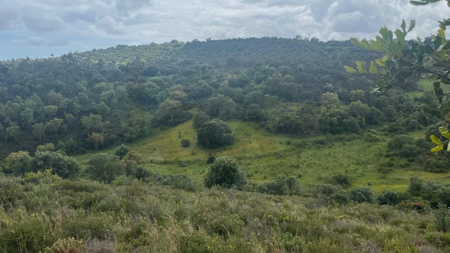 Terreno para Venda em Portimão Foto 7