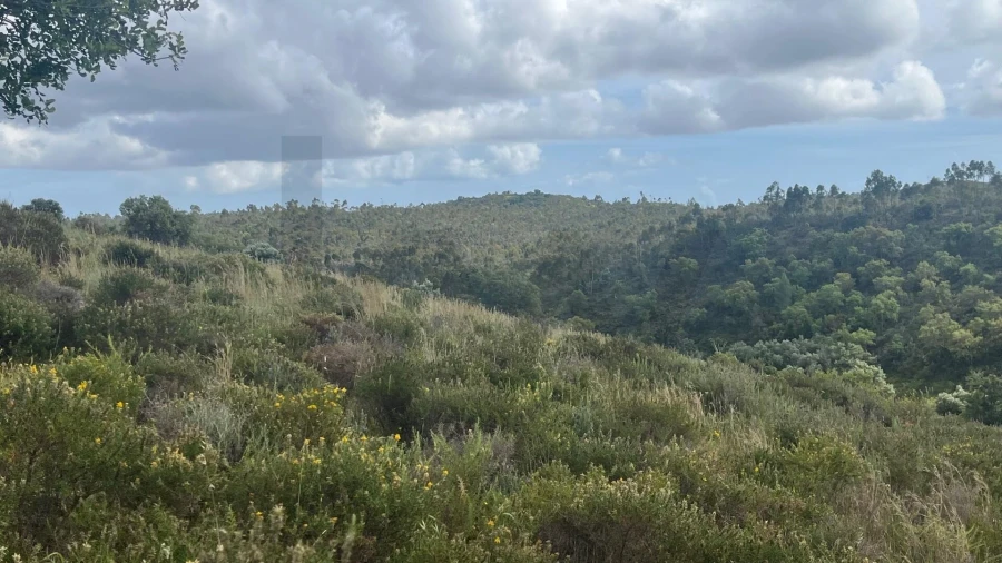Terreno para Venda em Portimão Foto 11