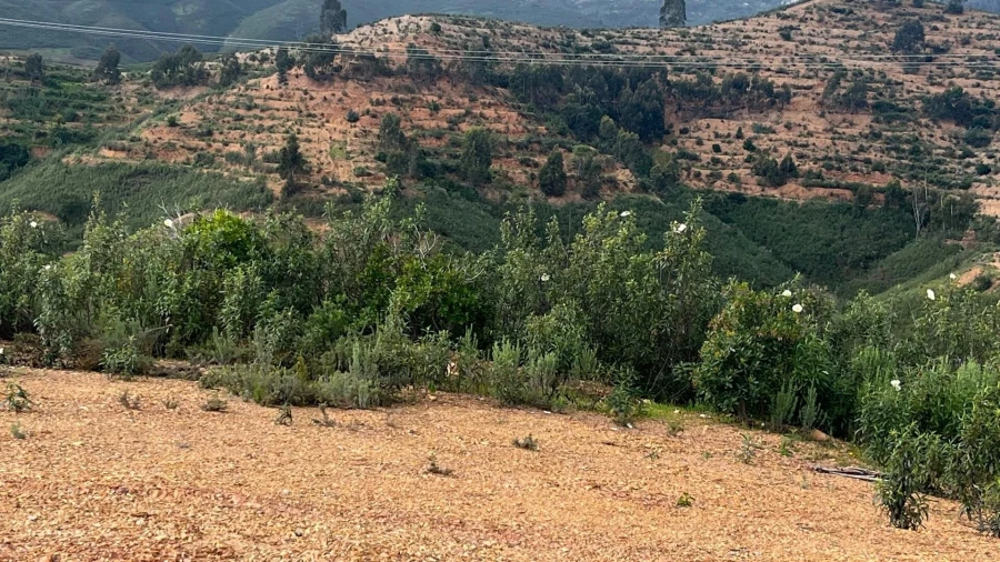 Terreno para Venda em Portimão Foto 23