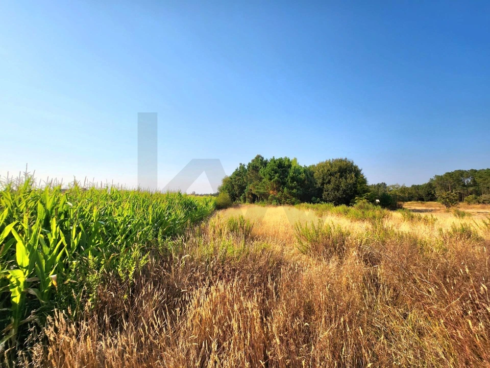 Moradia T3 para Venda em Fonte de Angeão e Covão do Lobo Foto 58