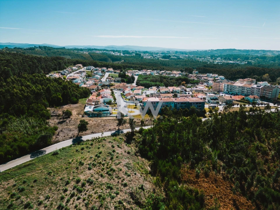 Terreno para Venda em São João de Ver Foto 3
