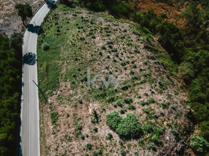 Terreno para Venda em São João de Ver Foto 8