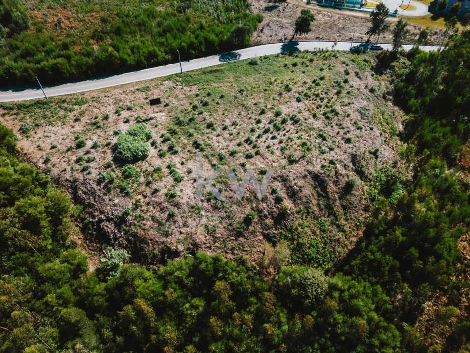 Terreno para Venda em São João de Ver Foto 7