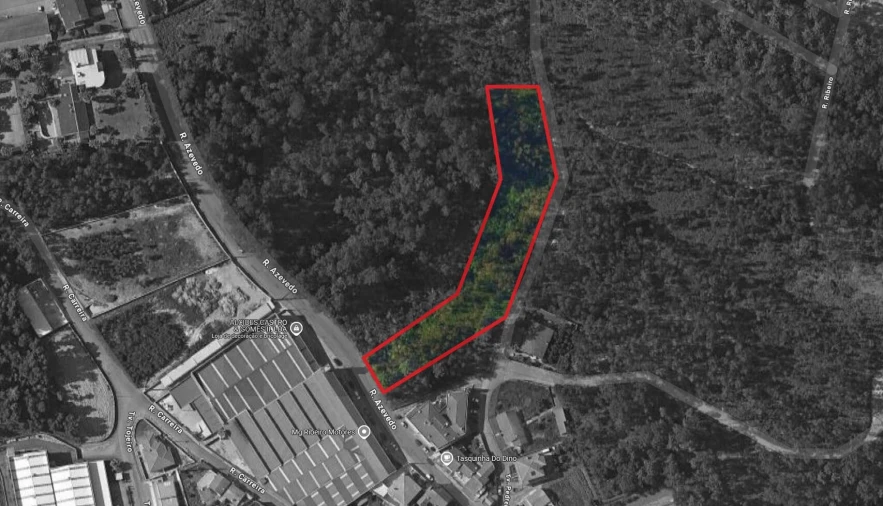 Terreno para Venda em Caldas de São Jorge e Pigeiros Foto 4