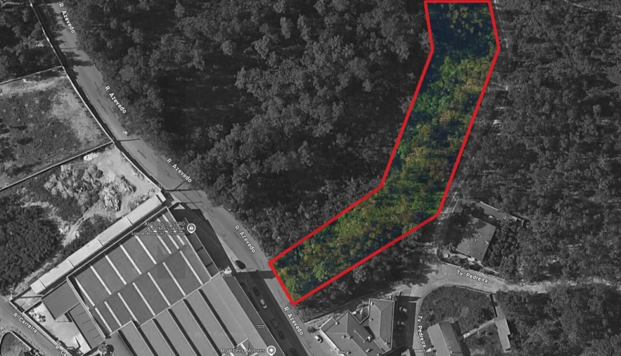 Terreno para Venda em Caldas de São Jorge e Pigeiros Foto 6