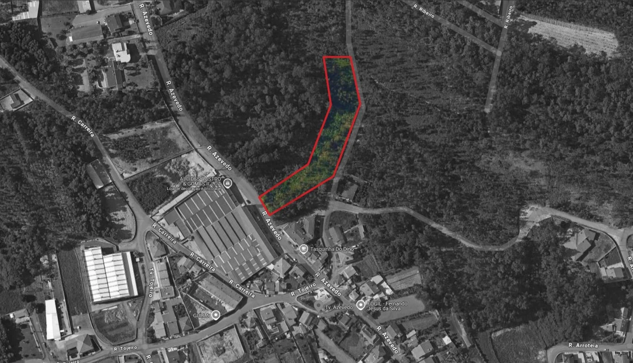 Terreno para Venda em Caldas de São Jorge e Pigeiros Foto 2