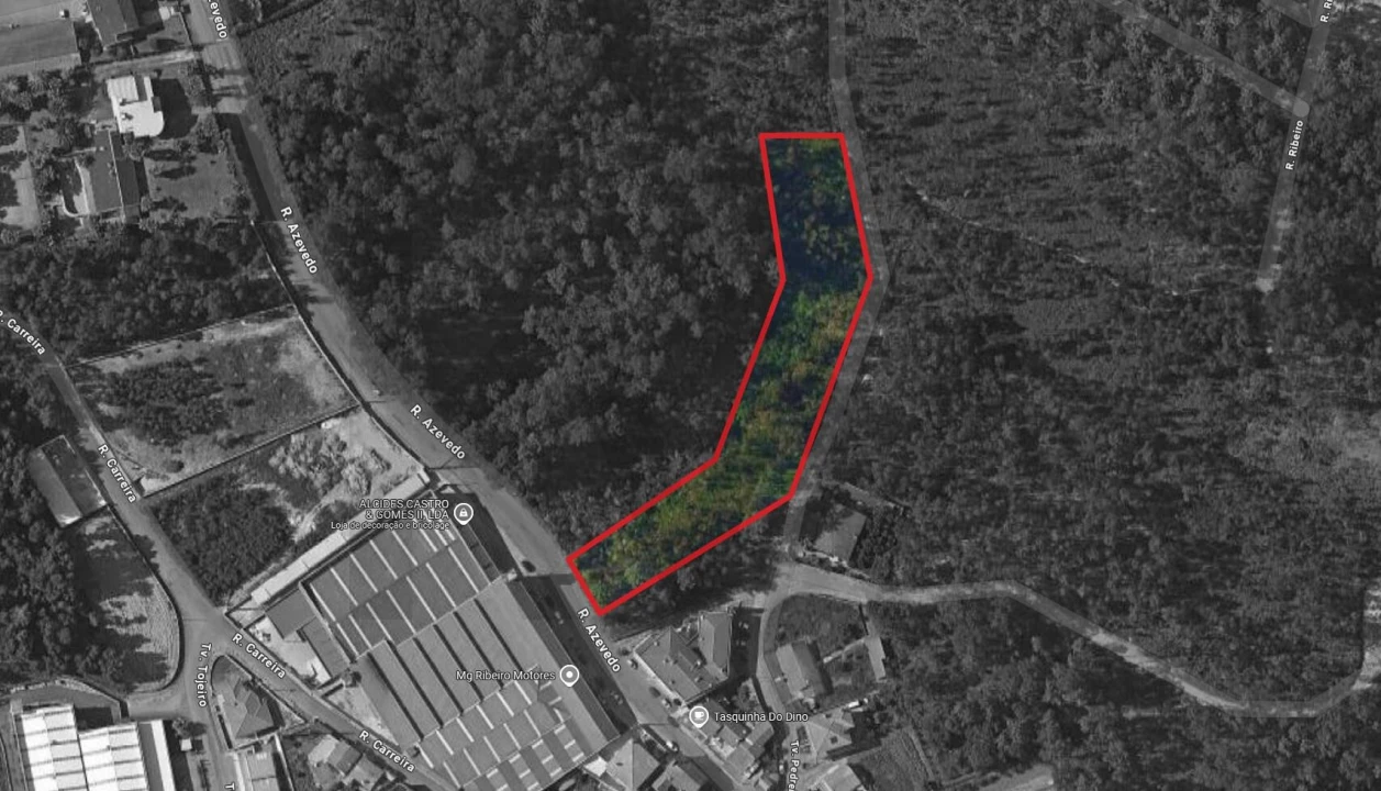 Terreno para Venda em Caldas de São Jorge e Pigeiros Foto 4