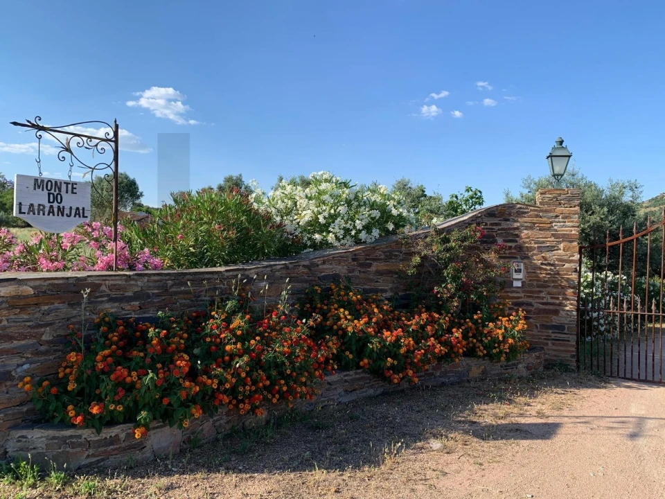 Quinta T13 para Venda em Monsaraz Foto 5