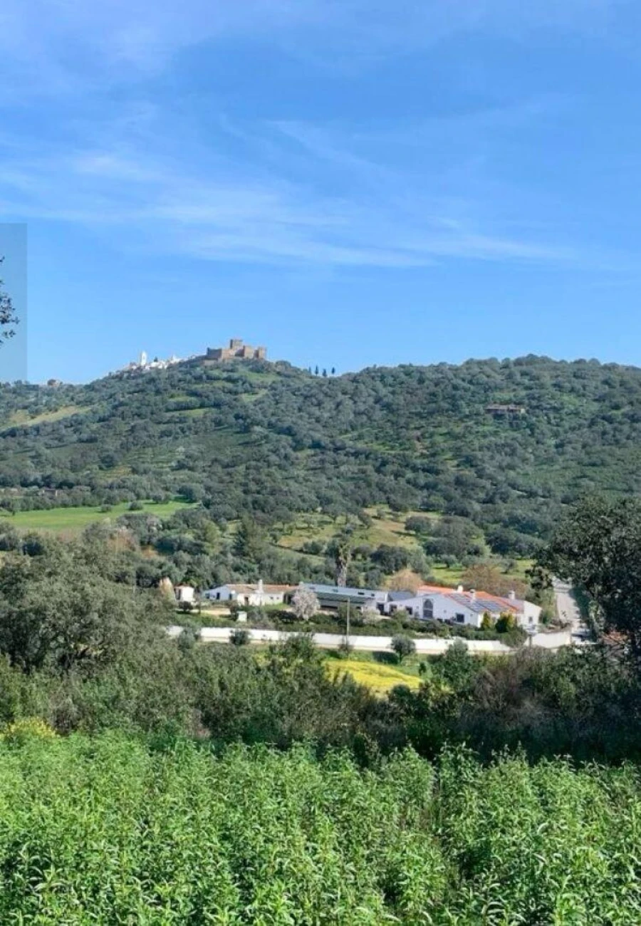 Quinta T13 para Venda em Monsaraz Foto 2