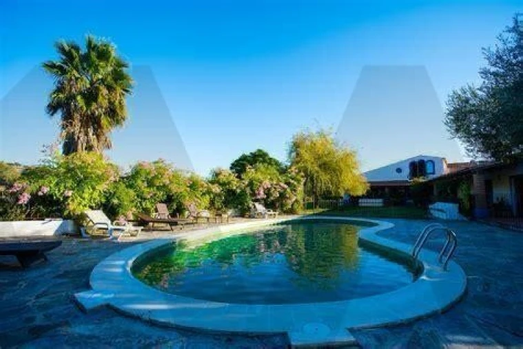 Quinta T13 para Venda em Monsaraz Foto 14