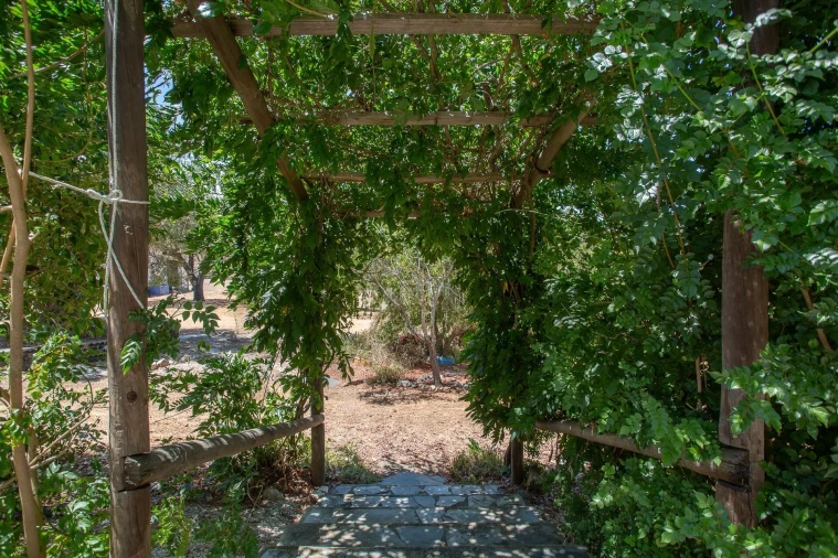 Moradia T2 para Venda em Terena (São Pedro) Foto 6