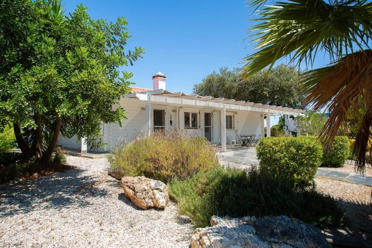 Moradia T2 para Venda em Terena (São Pedro) Foto 53