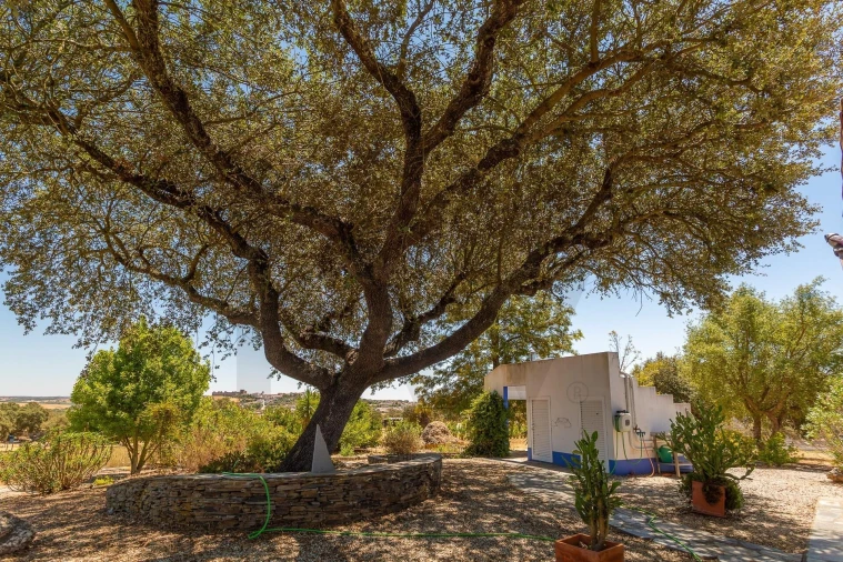 Moradia T2 para Venda em Terena (São Pedro) Foto 10