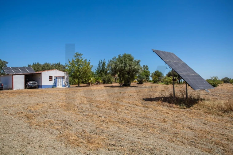 Moradia T2 para Venda em Terena (São Pedro) Foto 62