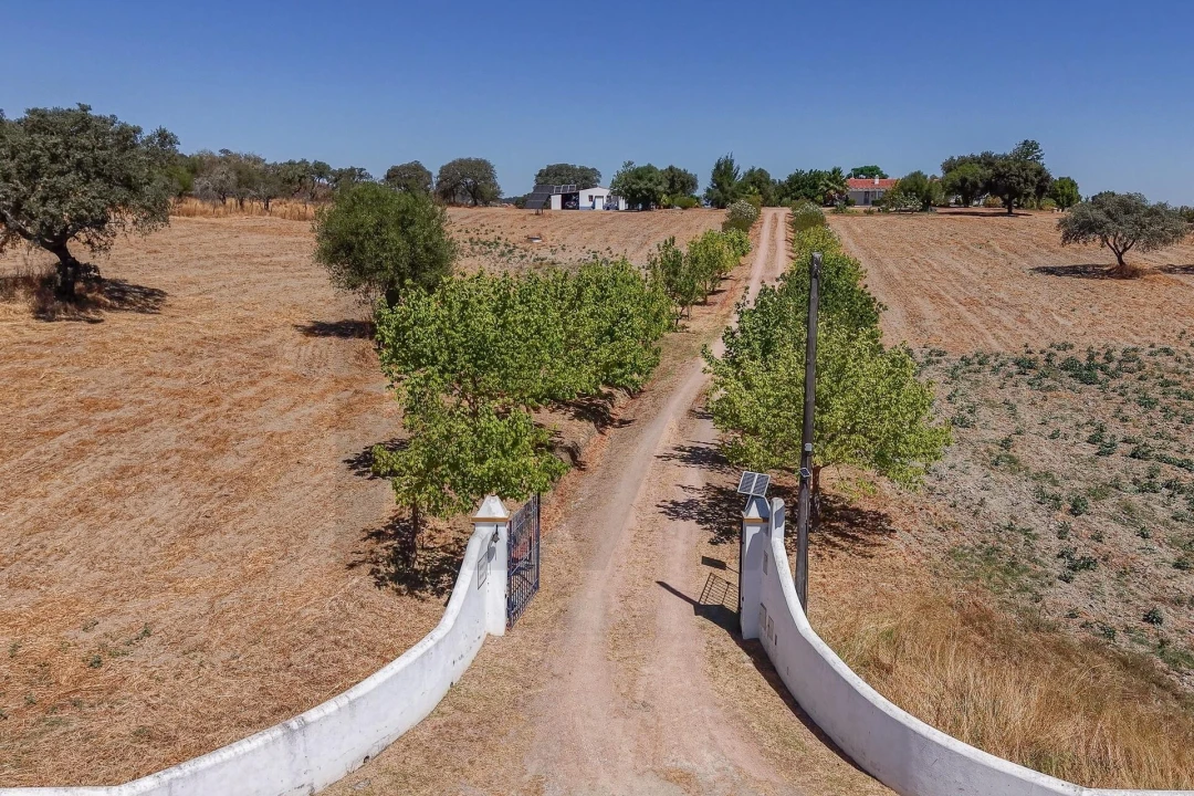 Moradia T2 para Venda em Terena (São Pedro) Foto 73