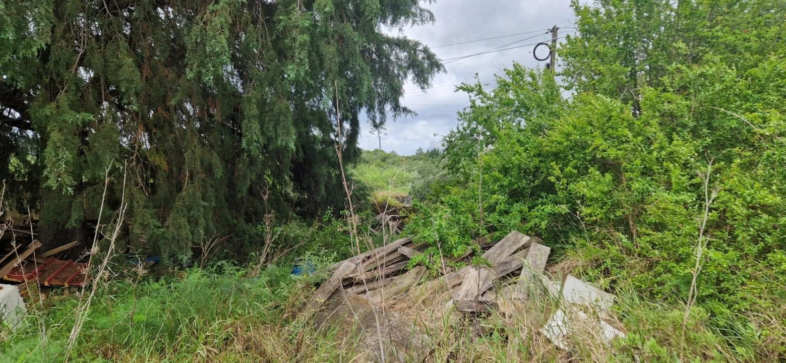Quinta T4 para Venda em Torres Novas (São Pedro), Lapas e Ribeira Branca Foto 11