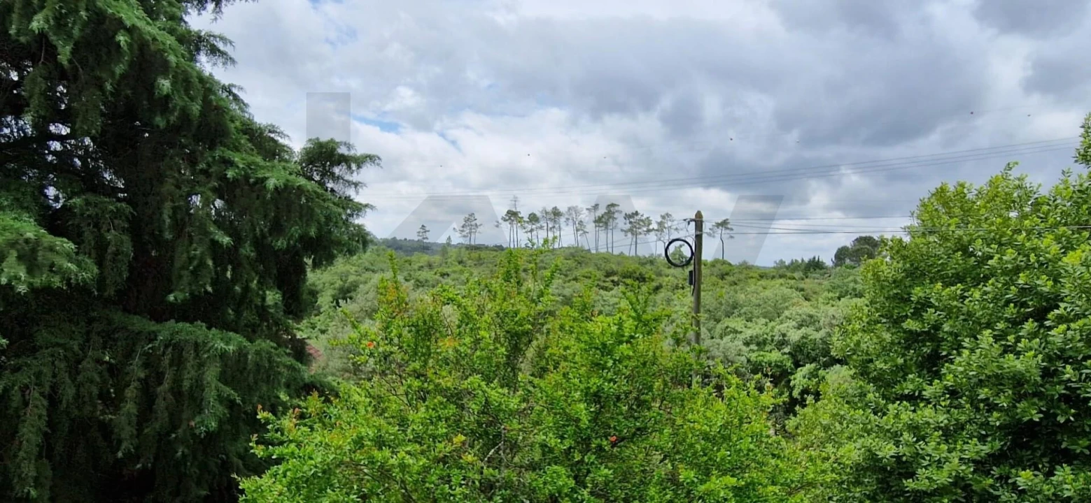 Quinta T4 para Venda em Torres Novas (São Pedro), Lapas e Ribeira Branca Foto 8