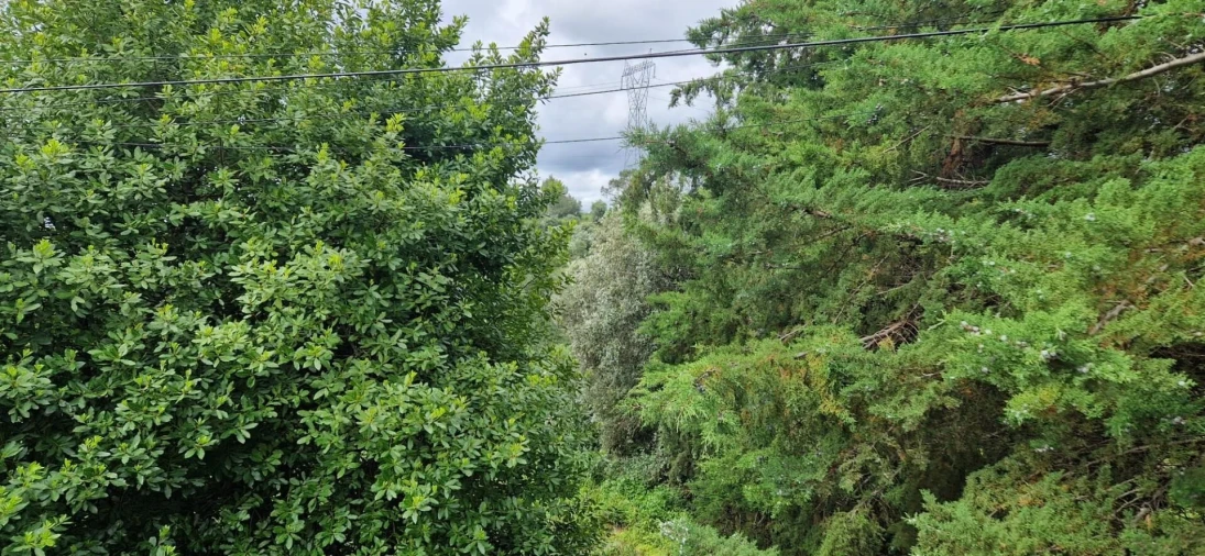 Quinta T4 para Venda em Torres Novas (São Pedro), Lapas e Ribeira Branca Foto 14