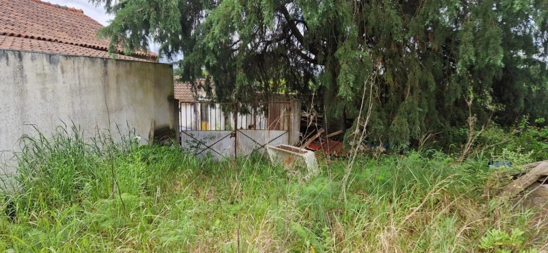 Quinta T4 para Venda em Torres Novas (São Pedro), Lapas e Ribeira Branca Foto 13