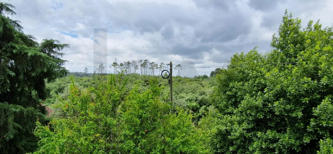 Quinta T4 para Venda em Torres Novas (São Pedro), Lapas e Ribeira Branca Foto 2