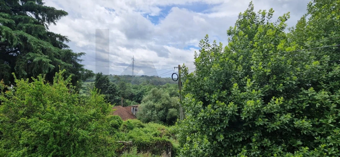 Quinta T4 para Venda em Torres Novas (São Pedro), Lapas e Ribeira Branca Foto 10