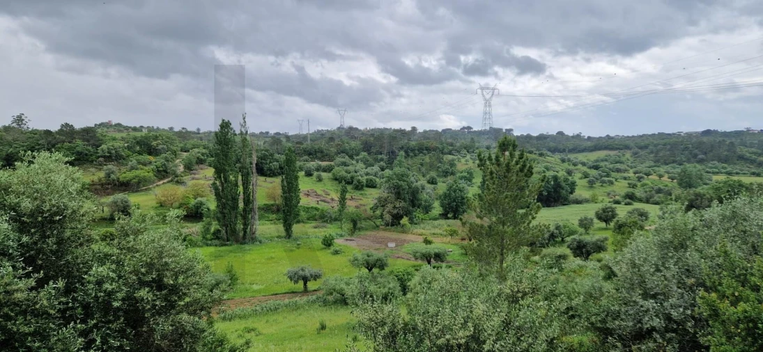 Quinta T4 para Venda em Torres Novas (São Pedro), Lapas e Ribeira Branca Foto 5