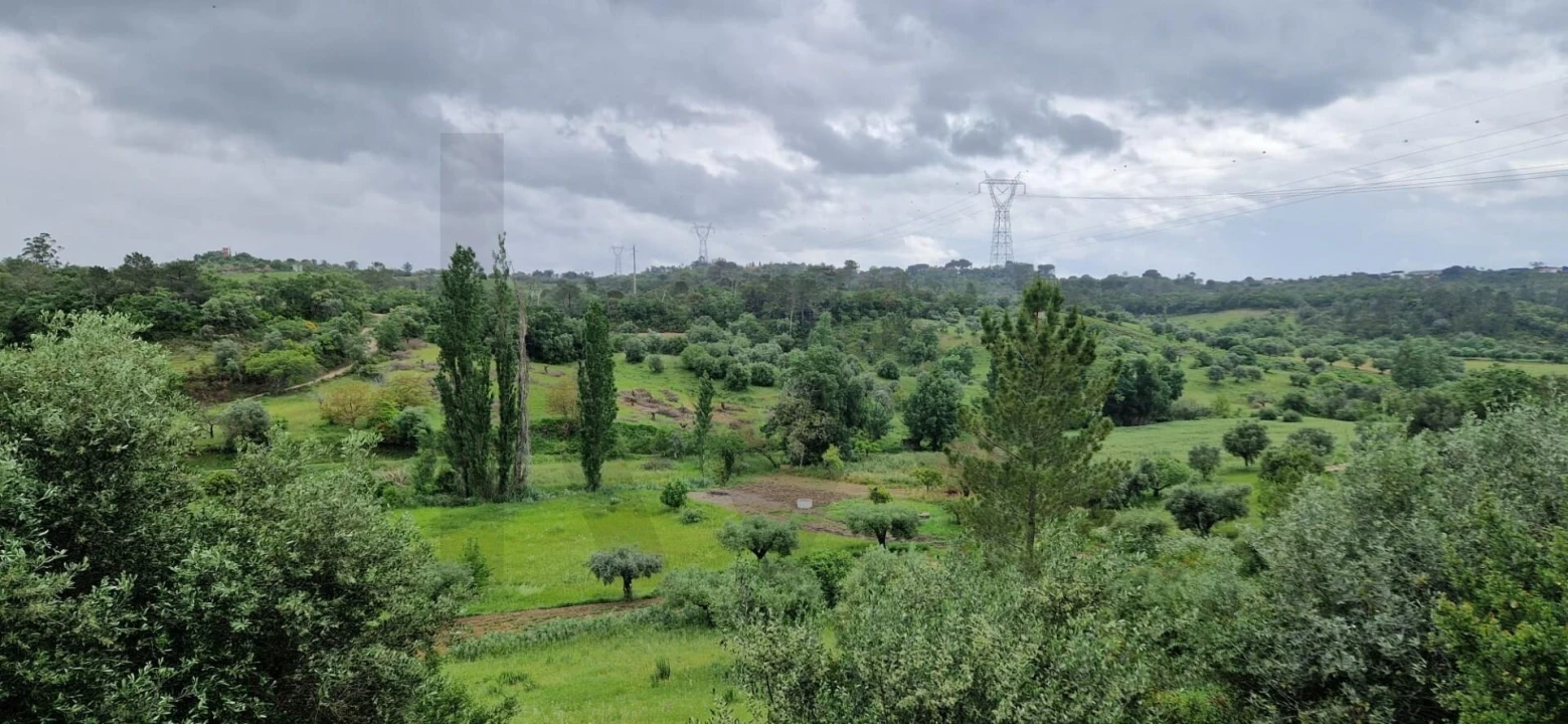 Quinta T4 para Venda em Torres Novas (São Pedro), Lapas e Ribeira Branca Foto 5