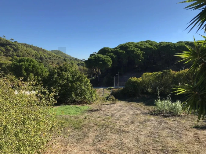 Terreno para Venda em União das Freguesias de Setúbal Foto 8