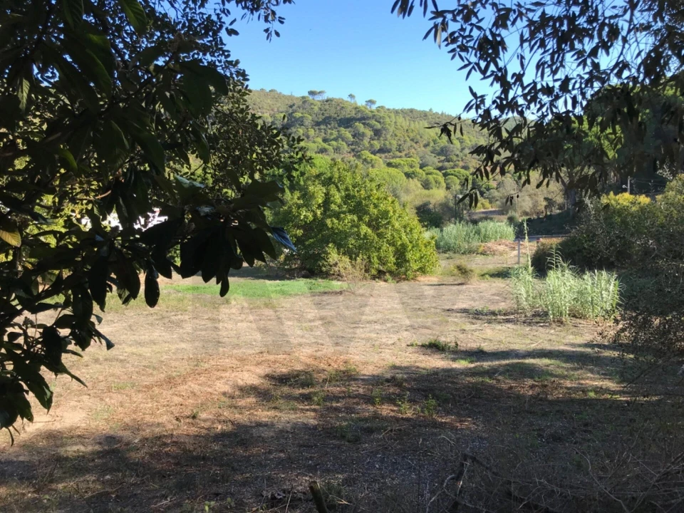 Terreno para Venda em União das Freguesias de Setúbal Foto 5