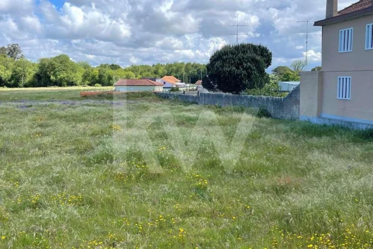 Terreno para Venda em Murtosa Foto 13