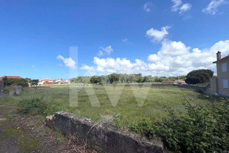 Terreno para Venda em Murtosa Foto 3