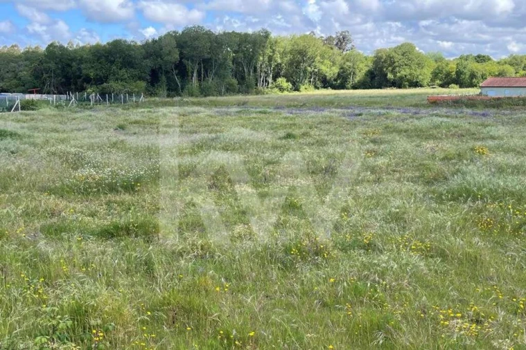 Terreno para Venda em Murtosa Foto 2