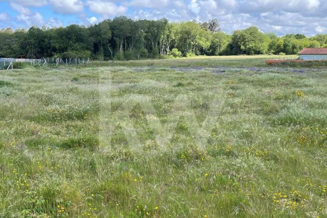 Terreno para Venda em Murtosa Foto 2