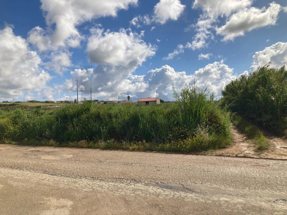 Terreno para Venda em Lourinhã e Atalaia Foto 9