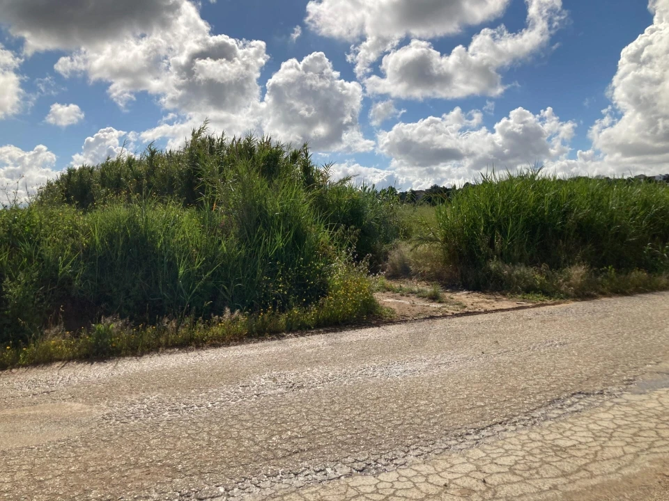 Terreno para Venda em Lourinhã e Atalaia Foto 11
