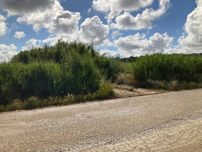 Terreno para Venda em Lourinhã e Atalaia Foto 11