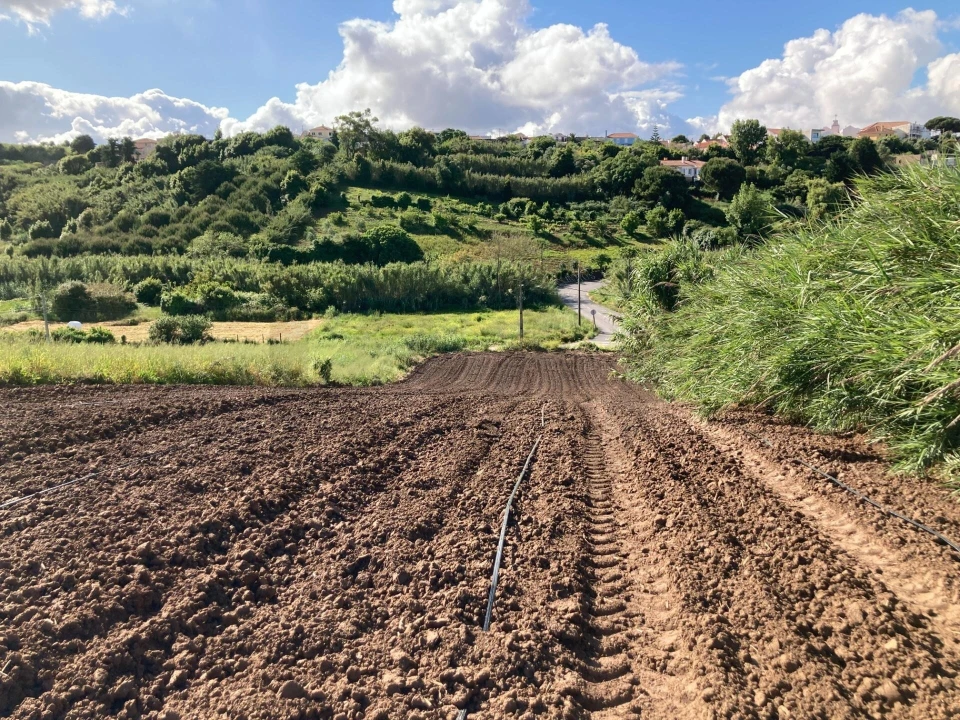 Terreno para Venda em Lourinhã e Atalaia Foto 8